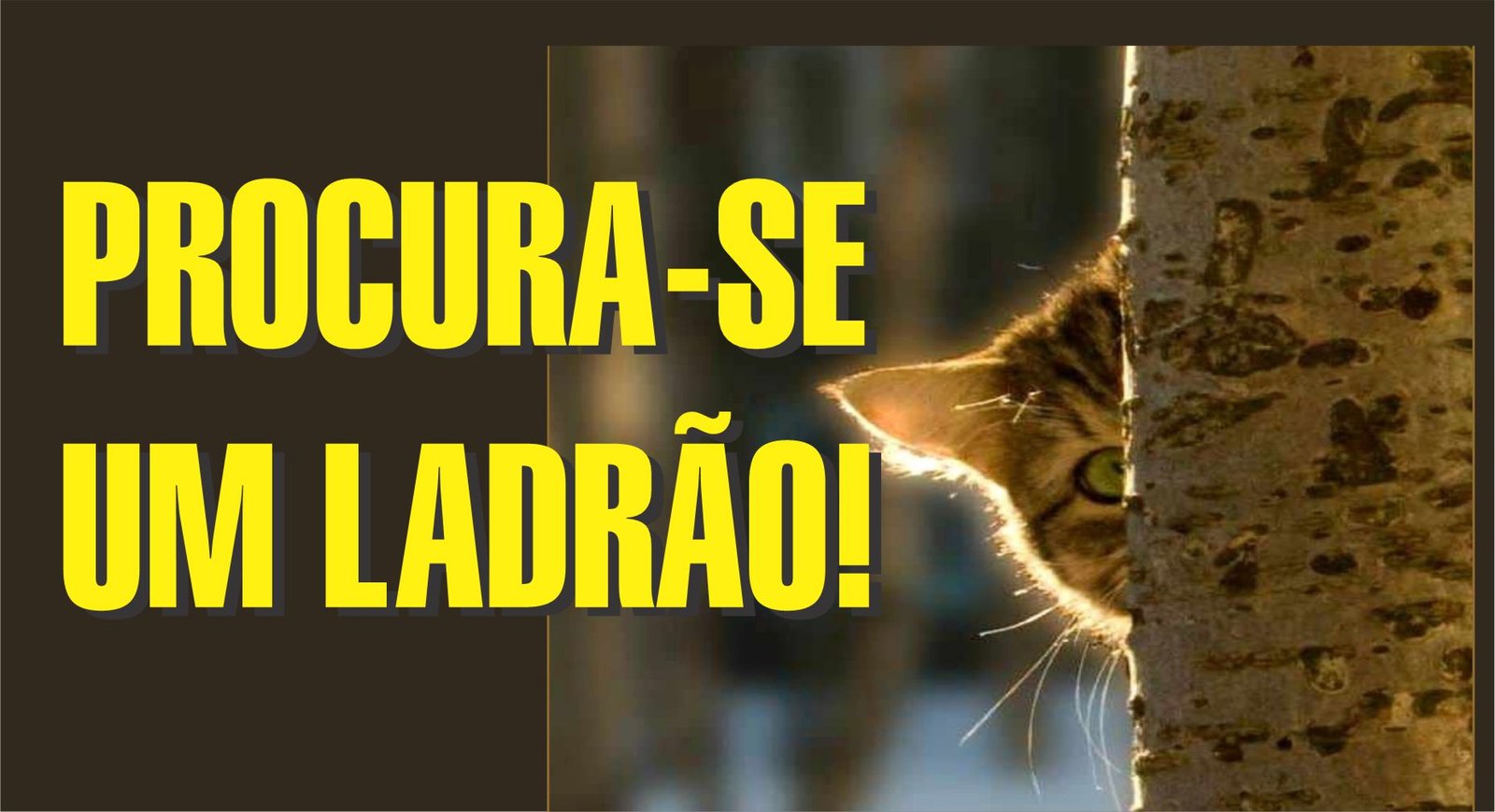 Senador que acusa a Copasa de roubar no esgoto “ficou de olhos fechados” quando Zema aprovou as tarifas?